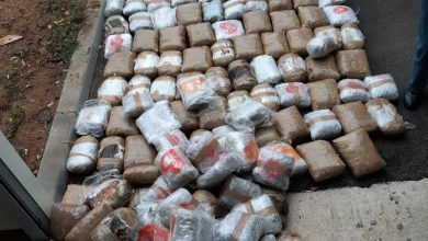 Photo of U operativnoj akciji ‘Staza’ slobode lišeno 19 osoba i oduzeto više od 400 kg marihuane