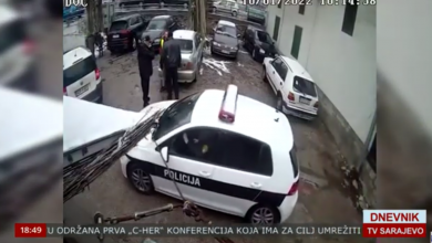 Photo of TVSA/VIDEO/O videosnimku se oglasio i Zoran Čegar