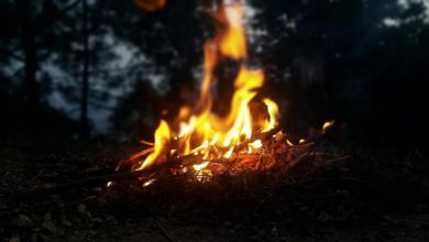 Photo of Iz Uprave za šumarstvo KS upozoravaju na opasnost od šumskih požara, kazne za loženje vatre u šumama kreću se do 1.500 KM