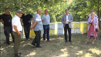 Photo of 27 pčelara s područja Općine Stari grad dobilo košnice i pčele u vrijednosti 13  hiljada maraka