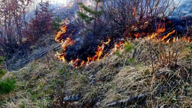 Photo of Sedam intervencija vatrogasaca na Žuči, gorilo nisko rastinje