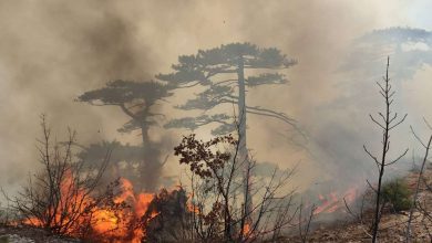 Photo of Vatrogasci u Crnoj Gori i protekle su noći imali pune ruke posla