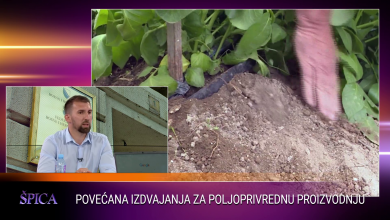 Photo of Delić za Špicu: Nacrt zakona o poticajima treba da poveća poljoprivrednu proizvodnju
