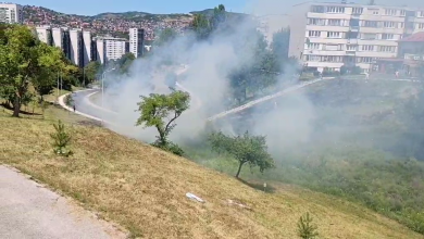 Photo of Video/ Nisko rastinje gorjelo u blizini zgrade Suda BiH