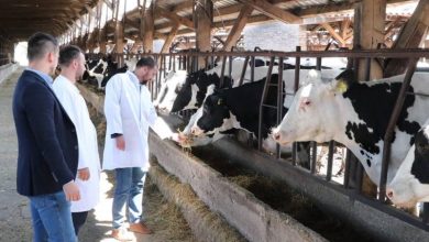 Photo of Ministar Delić: PD Butmir nabavio novih 90 mladih junica, farma postaje nulti zagađivač okoline