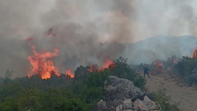 Photo of Požar u selu Prapratnica kod Neuma prijeti kućama