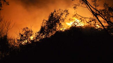 Photo of U Neumu ne prijeti opasnost od požara, stanje pod kontrolom