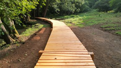 Photo of Na Stojčevcu postavljena drvena staza, uskoro instaliranje novih sadržaja