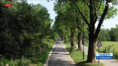 Photo of Za akciju pošumljavanja “Zasadi za život” nabavit će se oko 450.000 sadnica