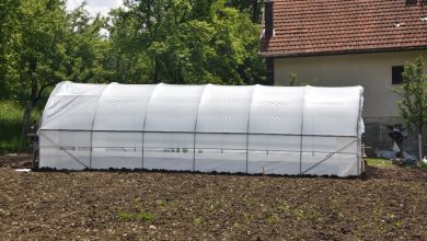 Photo of Pokrenuta procedura nabavke plastenika za stanovnike Centra