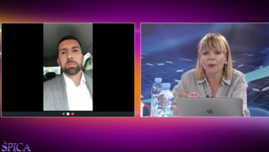 Photo of Delić za Špicu: Problem pasa lutalica se ne može riješiti preko noći, besplatne akcije sterilizacije se nastavljaju