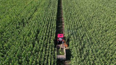 Photo of Rajlovac danas, općina Novi Grad dodijelila zemljište u svrhu poljoprivredne proizvodnje