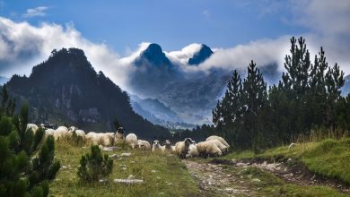 Photo of Večeras svečana akademija Planinarskog saveza BiH
