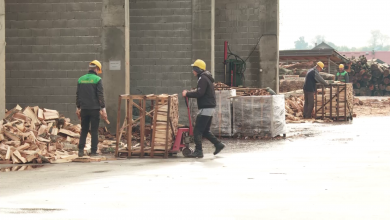 Photo of Moratorij na izvoz peleta, umjesto pojeftinjenja stvorio kontra efekat, tona peleta oko 750 maraka(Video)