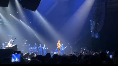 Photo of Video:Dio atmosfere sa spektakularnih koncerta Stinga