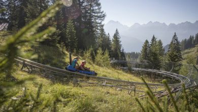 Photo of Sljedeće godine na Bjelašnici alpine coaster i brojni drugi ljetni sadržaji