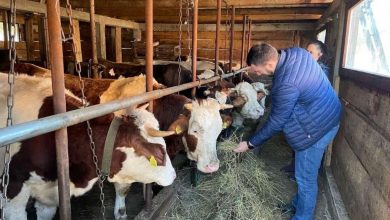 Photo of Kanton Sarajevo bilježi  rast u svim segmentima poljoprivredne proizvodnje