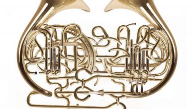 Photo of Počinje SONEMUS Fest 2022 u Sarajevu