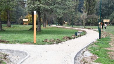 Photo of Na Stojčevcu se uređuju  pješačke staze