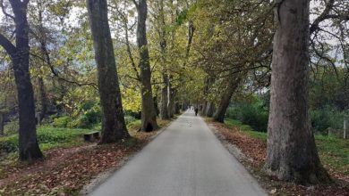 Photo of U toku rekonstrukcija javne rasvjete u Velikoj aleji