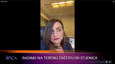 Photo of Ibrahimović za TVSA: U Sarajevu su se pojavile i stjenice, radimo na zaštiti