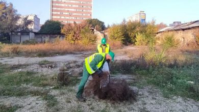 Photo of Nastavljeno uklanjanje i adekvatno zbrinjavanje ambrozije na području Kantona Sarajevo
