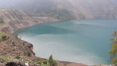 Photo of Sekretarijat Bernske konvencije prihvatio tužbu ekološke aktivistice Hajrije Čorbo protiv države BiH