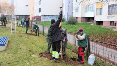Photo of I mališani iz vrtića “Dječiji grad” imat će ljepše dvorište