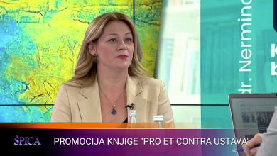 Photo of Mujagić za Špicu: Svakom ozbiljnom ustavu prethodi ozbiljna znanstvena i politička rasprava