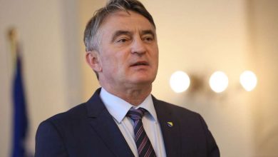 Photo of Komšić uputio telegram saučešća predsjedniku Republike Austrije  Alexanderu Van der Bellenu