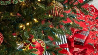 Photo of Skupština i Vlada KS: Božić je praznik nade, ljubavi i zajedništva