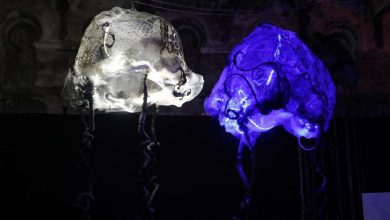 Photo of U BKC-u otvorena multimedijalna izložba ‘Fantom slobode’ autorice Džejlane Karaman-Pašić