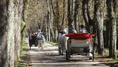 Photo of Fijakeristima će se osigurati po četiri hiljade maraka za  nabavku dresiranih konja