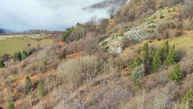 Photo of Održana godišnja provjera znanja i stanična vježba Stanice Sarajevo