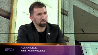 Photo of Delić za Špicu o Zakonu javno–privatnog partnerstva: Neće tretirati javna preduzeća koja već postoje