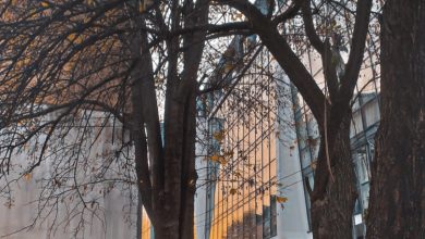 Photo of Usljed zagađenja zraka preporučeno izbjegavanje kretanja na otvorenom