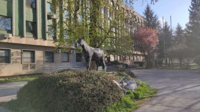 Photo of Smajlović: Praksa na farmi u Bojniku obustavljena, jedna studentica zaražena