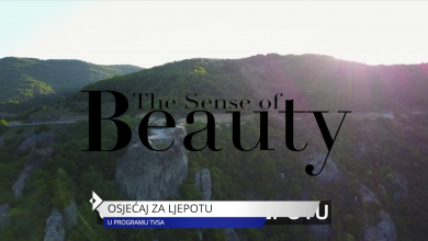 Photo of TVSA/ Novi serijal u programu TVSA “Osjećaj za ljepotu”