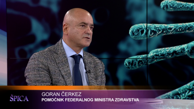 Photo of Čerkez za TVSA: Krajem ovog mjeseca vrhunac sezonske gripe (VIDEO)