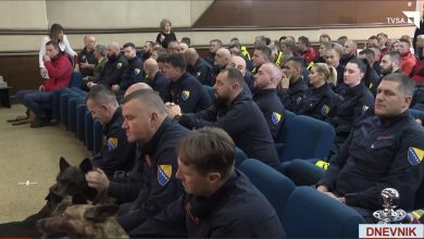 Photo of Dnevnik TVSA/ Vlada BiH organizovala prijem za spasioce koji su učestvovali u misijama spašavanja