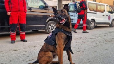 Photo of Upoznajte Atosa i njegovog  vodiča Almira Tabakovića iz Zenice