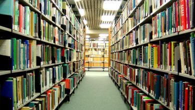 Photo of Ko ruši institucije od značaja za BiH? Direktor bez diplome, radnici bez plaća od decembra