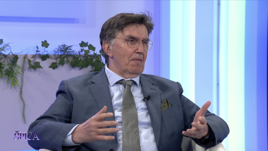 Photo of Ganić za Špicu: Rat u BiH je bio rat protiv civila