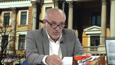 Photo of Novi ministar visokog obrazovanja u KS Pavle Krstić za TVSA: Cilj je unaprijediti položaj mladih (VIDEO)