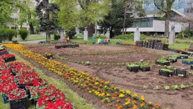 Photo of KJKP ‘Park’ angažirat će 200 nezaposlenih na komunalnim poslovima