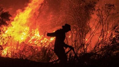 Photo of Oko 30 000 ljudi napustilo domove zbog šumskih požara u zapadnoj Kanadi