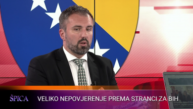 Photo of Stojanović za Špicu: Stranka za BiH ne treba da bude dio većine u KS