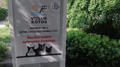 Photo of BH reciklomati postaju regionalna priča: Prvi reciklomati za hranjenje životinja izvezeni u Kotor