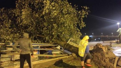 Photo of U nevremenu u Srbiji poginulo dijete, oštećene tri zgrade prilikom pada krana