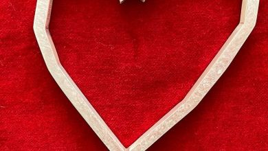 Photo of Večeras svečana ceremonija zatvaranja Sarajevo film festivala